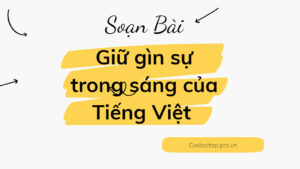 Giữ gìn sự trong sáng của tiếng Việt