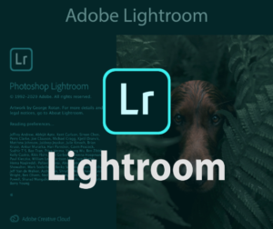 Tổng hợp 50 phím tắt trong Adobe Lightroom giúp chỉnh ảnh nhanh chóng