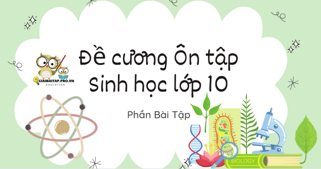 Bài tập Sinh học lớp 10