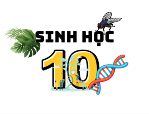 Sinh học lớp 12