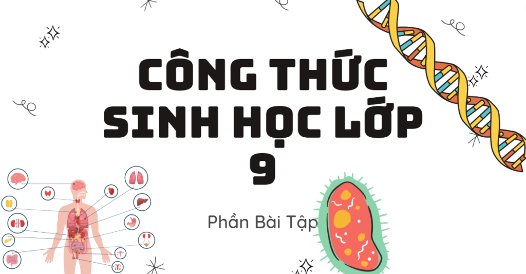 công thức Sinh học lớp 9 dễ nhớ 