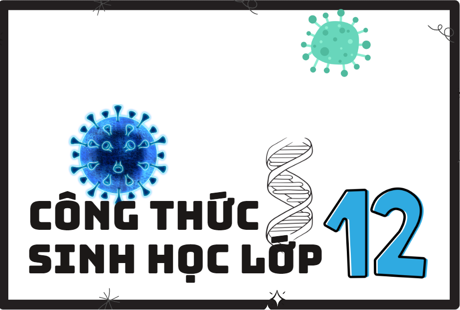 Công thức sinh học lớp 12