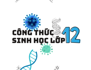 Công thức sinh học lớp 12 ôn tập