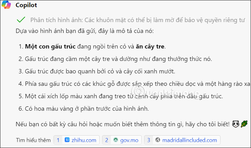 Nội dung mô tả ảnh trên Copilot