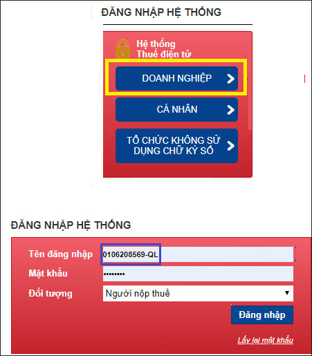 Nhập thông tin Doanh nghiệp