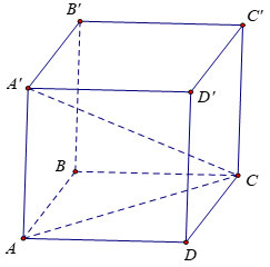 Khối lập phương ABCD.A’B’C’D’