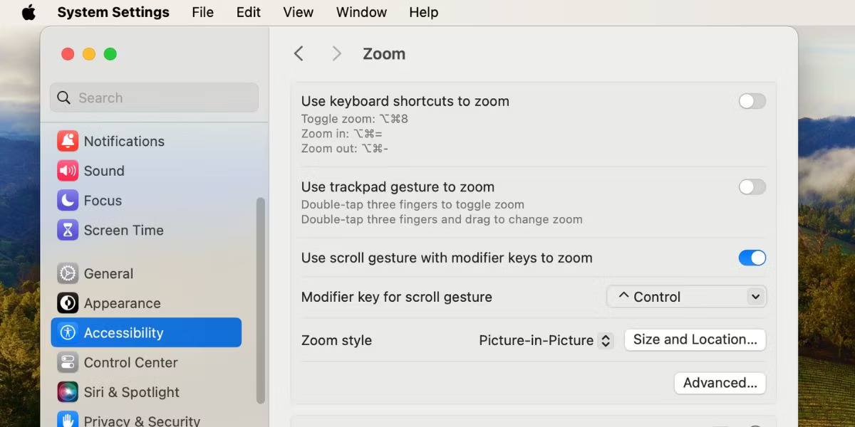 Cài đặt zoom trong cài đặt trợ năng của máy Mac