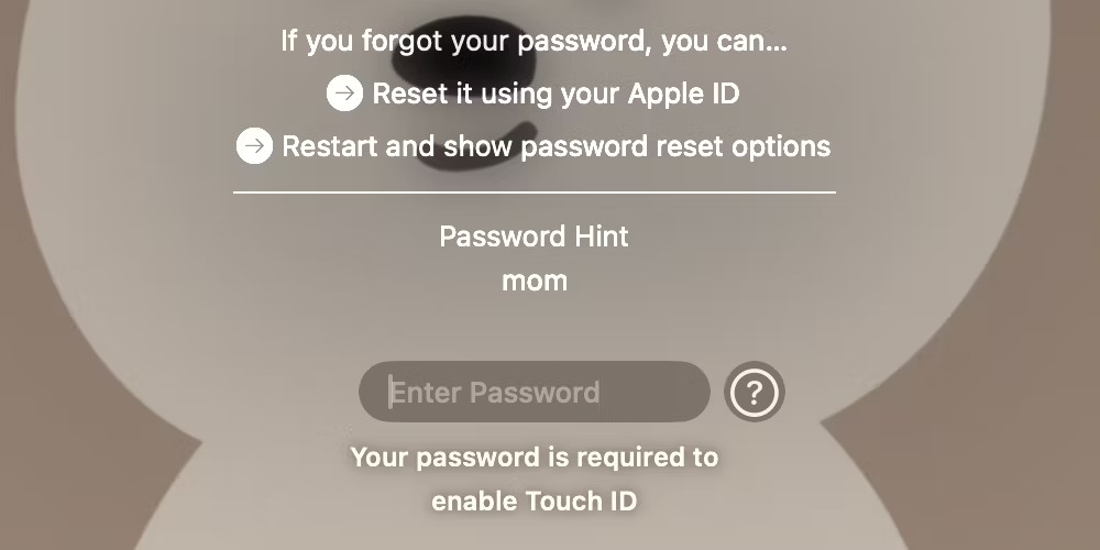 Tùy chọn Reset it using your Apple ID