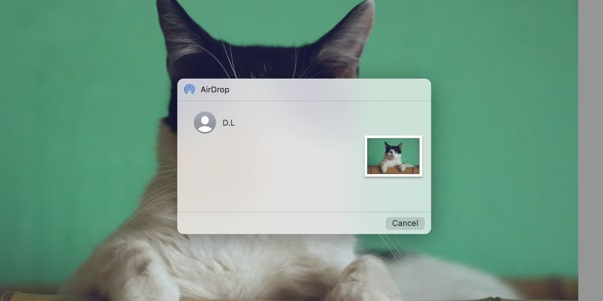 Cửa sổ AirDrop trên Mac