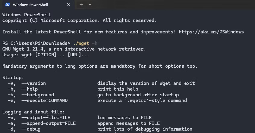 Chạy Wget trong Windows