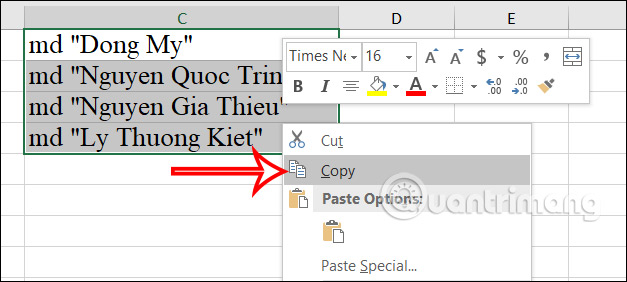 Sao chép danh sách tên trong Excel