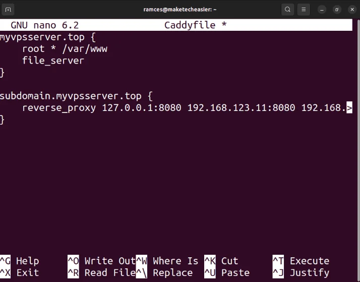 Một terminal hiển thị một ví dụ về Caddyfile.