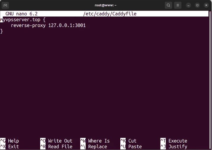 Một terminal hiển thị cấu hình reverse proxy Caddy đã sửa đổi.