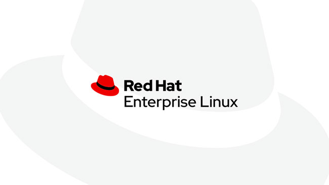 Red Hat Enterprise Linux Server