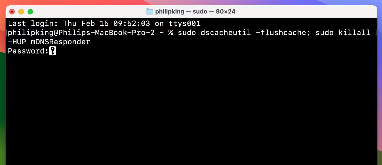 Nhập lệnh flush DNS trong Terminal