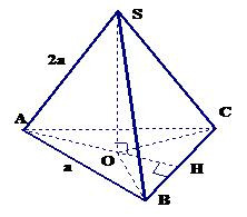 Thế nào là Hình chóp đều? Hình chóp đều tam giác, tứ giác (ảnh 1)