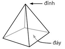 Thế nào là Hình chóp đều? Hình chóp đều tam giác, tứ giác (ảnh 1)