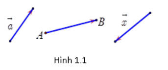 Thế nào là hai vecto bằng nhau? Các dạng bài tập và cách giải (ảnh 1)