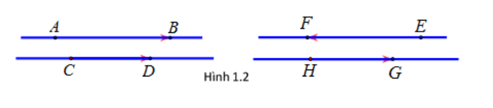 Thế nào là hai vecto bằng nhau? Các dạng bài tập và cách giải (ảnh 1)