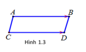 Thế nào là hai vecto bằng nhau? Các dạng bài tập và cách giải (ảnh 1)