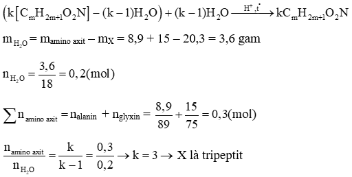 Thủy phân hoàn toàn 20,3 gam một Oligopeptit X trong môi trường axit loãng (ảnh 1)