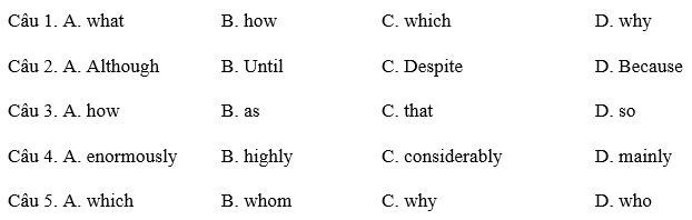 School exams are, generally speaking, the first kind of tests we take (ảnh 3)