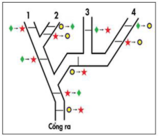 Đề thi Toán Tiếng Việt Kangaroo cấp độ 1 (có đáp án) (ảnh 1)