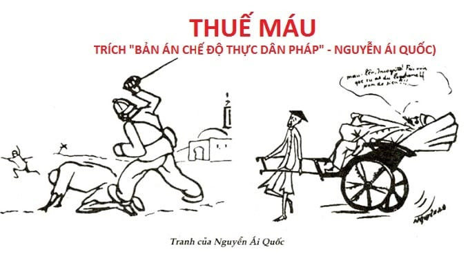 Tác giả Hồ Chí Minh - Cuộc đời và sự nghiệp (ảnh 1)