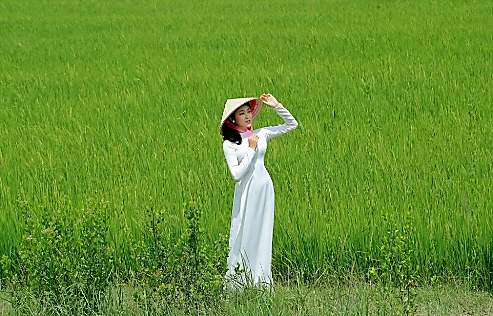 Về bài ca dao “Đứng bên ni đồng, ngó bên tê đồng…” - Ngữ văn lớp 6 - Chân trời sáng tạo (ảnh 1)