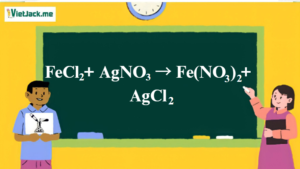 FeCl2 + AgNO3 → Fe(NO3)2 + AgCl | FeCl2 ra Fe(NO3)2 | AgNO3 ra AgCl | FeCl2 ra AgCl (ảnh 1)