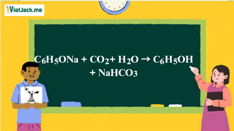 C6H5ONa + CO2 + H2O → C6H5OH + NaHCO3 | C6H5ONa ra C6H5OH | C6H5ONa ra NaHCO3 (ảnh 1)