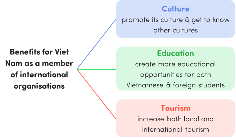 TOP 10 Đoạn văn Write a paragraph about the benefits for Vietnam as a member of international organizations (siêu hay) (ảnh 1)