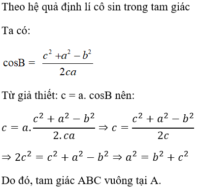 200 bài tập hệ thức lượng nâng cao (2024) có đáp án (ảnh 1)