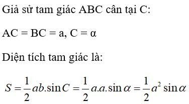 200 bài tập hệ thức lượng nâng cao (2024) có đáp án (ảnh 1)