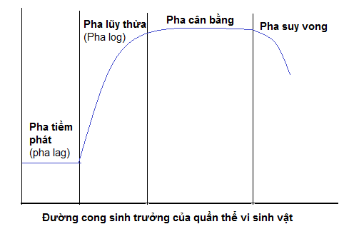 Cách giải bài tập Vi sinh vật hay, chi tiết