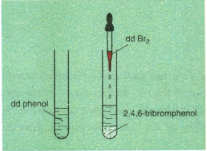 Cách nhận biết phenol nhanh nhất