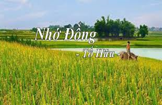 Tóm tắt Nhớ đồng hay, ngắn gọn (5 mẫu) (ảnh 1)