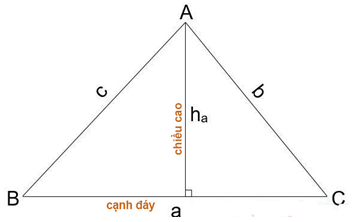 Công thức tính chu vi, diện tích hình tam giác (hay, chi tiết)