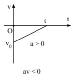 Đồ thị vận tốc theo thời gian hay nhất