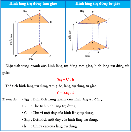 Lý thuyết Toán 7 Kết nối tri thức Bài 37: Hình lăng trụ đứng tam giác và hình lăng trụ đứng tứ giác (ảnh 3)