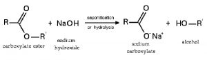 NaOH phản ứng với axit hữu cơ tạo muối và peptit