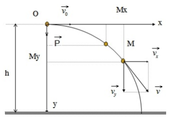 Phương trình quỹ đạo ném ngang