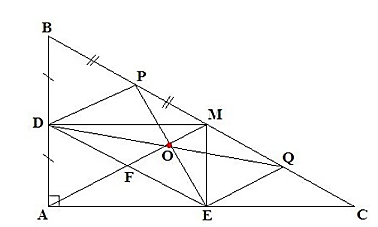 15000 câu hỏi ôn tập Toán có đáp án (Phần 97) (ảnh 1)