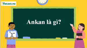 Ankan là gì? Tính chất hóa học, tính chất vật lí, nhận biết, điều chế, ứng dụng của Ankan (ảnh 1)