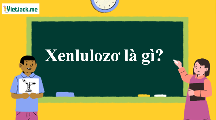 Xenlulozơ là gì? Tính chất hóa học, tính chất vật lí, nhận biết, điều chế, ứng dụng của Xenlulozơ (ảnh 1)