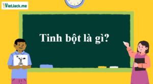 Tinh bột là gì? Tính chất hóa học, tính chất vật lí, nhận biết, điều chế, ứng dụng của Tinh bột (ảnh 1)