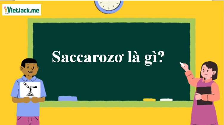 Saccarozơ là gì? Tính chất hóa học, tính chất vật lí, nhận biết, điều chế, ứng dụng của Saccarozơ (ảnh 1)