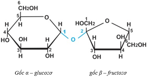 Saccarozơ là gì? Tính chất hóa học, tính chất vật lí, nhận biết, điều chế, ứng dụng của Saccarozơ (ảnh 1)