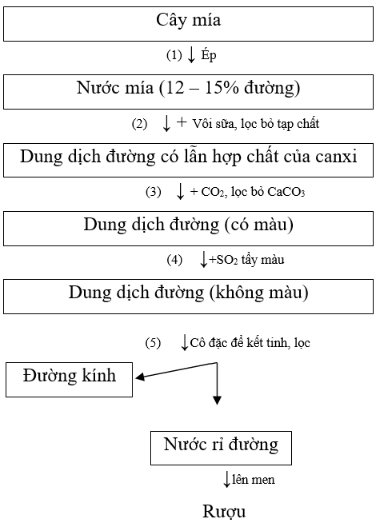 Saccarozơ là gì? Tính chất hóa học, tính chất vật lí, nhận biết, điều chế, ứng dụng của Saccarozơ (ảnh 1)