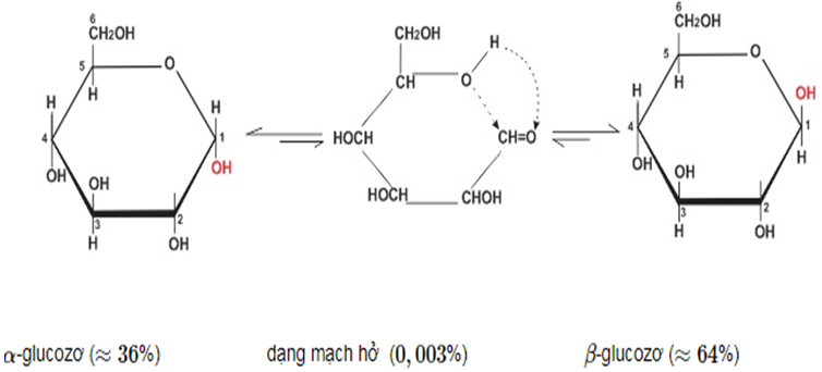 Glucozơ là gì? Tính chất hóa học, tính chất vật lí, nhận biết, điều chế, ứng dụng của Glucozơ (ảnh 1)